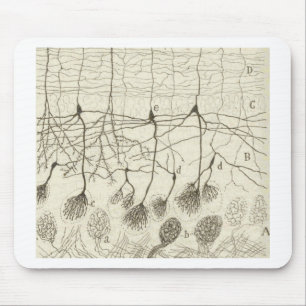 Mousepad Os neurônios 8 de Cajal