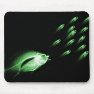MOUSEPAD OS PEIXES DO RAIO X PERSEGUEM O VERDE PRETO