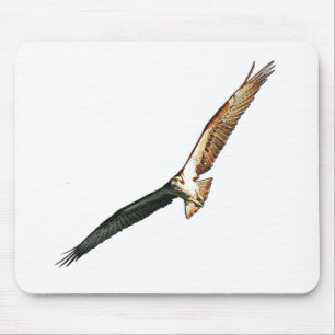 Mousepad Osprey
