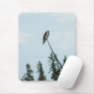 Mousepad Osprey 9028