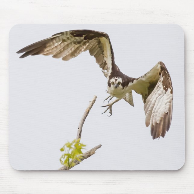 Mousepad Osprey Chegando Em Você (Frente)