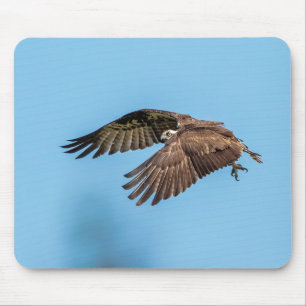 Mousepad Osprey em voo no Parque Estadual da Ilha de Honeym