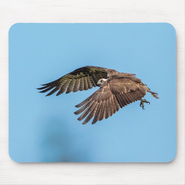 Mousepad Osprey em voo no Parque Estadual da Ilha de Honeym (Frente)
