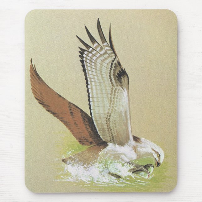 Mousepad Osprey - haliaetus do Pandion (Frente)