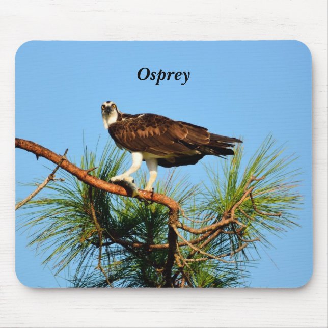 Mousepad Osprey na natureza (Frente)