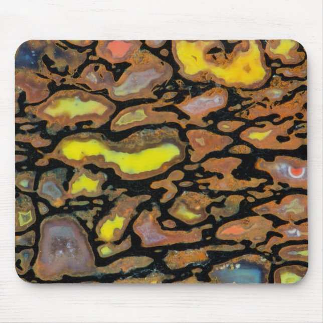 Mousepad Osso de Dinossauro de Múltiplas Cores (Frente)