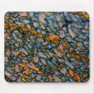 Mousepad Osso de Dinossauro Petrificado