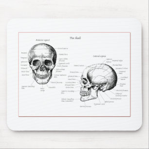 Mousepad Ossos do crânio humano