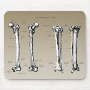 Mousepad Ossos dos membros mais baixos