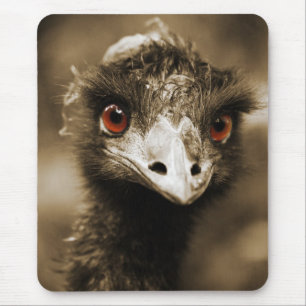 Mousepad Ostras Parecem um bocal