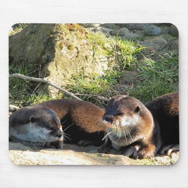 MOUSEPAD OTTERS (Frente)