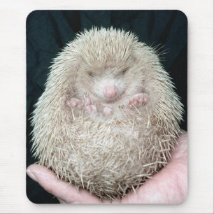 Mousepad Ouriço