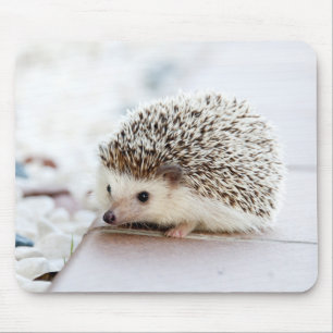 Mousepad ouriço adorável bonito do bebê