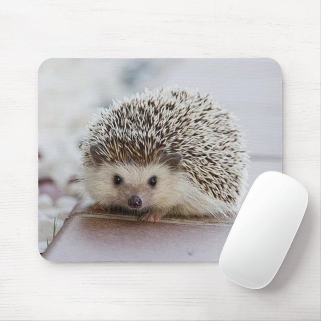 Mousepad ouriço-bebê (Com mouse)