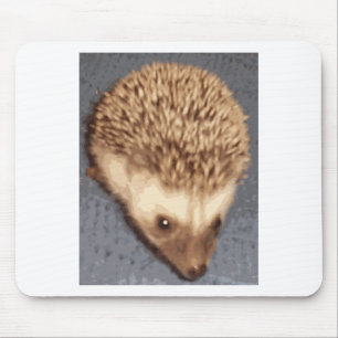 Mousepad ouriço do bebê