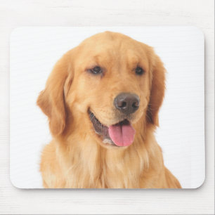 Mousepad Ouro Adquirente Cão Adormecido
