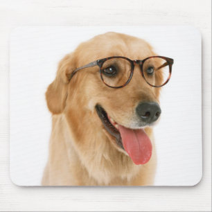 Mousepad Ouro Estúdio Cão-De-Cãezinho Com Óculos