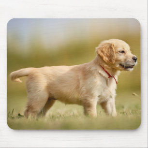 Mousepad Ouro - Fuppy