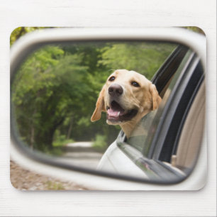 Mousepad Ouro Labrador No Espelho Da Rearview