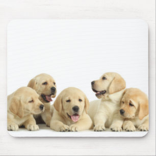 Mousepad Ouro Labrador Puppy Pile