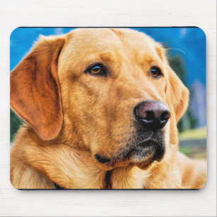 Mousepad Ouro Labrador Retriever