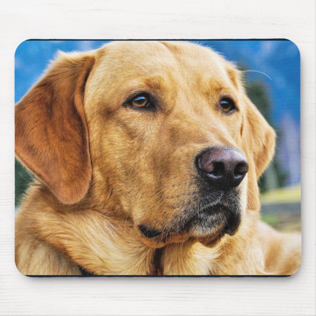 Mousepad Ouro Labrador Retriever (Frente)