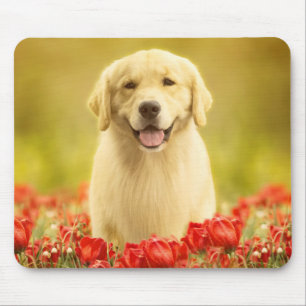 Mousepad Ouro para sempre nas flores vermelhas