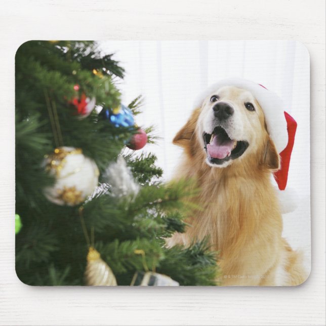 Mousepad Ouro recuperador que assiste árvore de Natal (Frente)