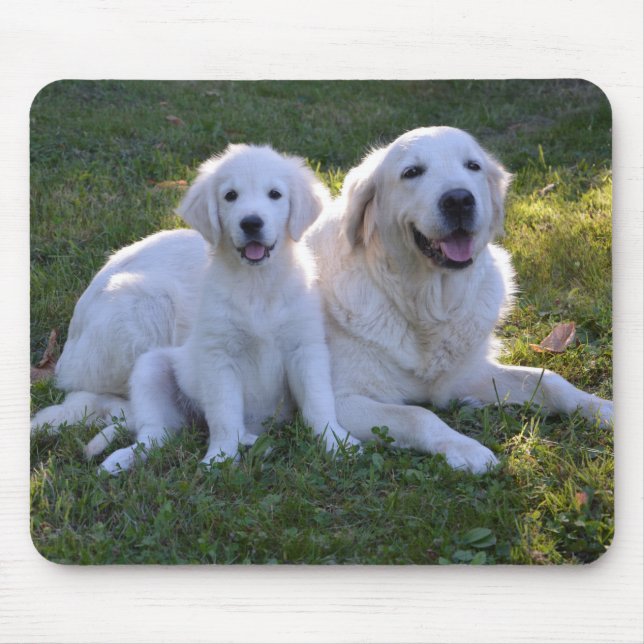 Mousepad Ouro Retriever Mãe e Puppy (Frente)