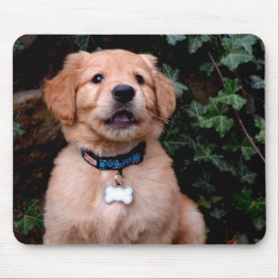 Mousepad Ouro Retriever Puppy