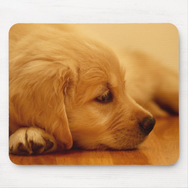 Mousepad Ouro Retriever Puppy (Frente)