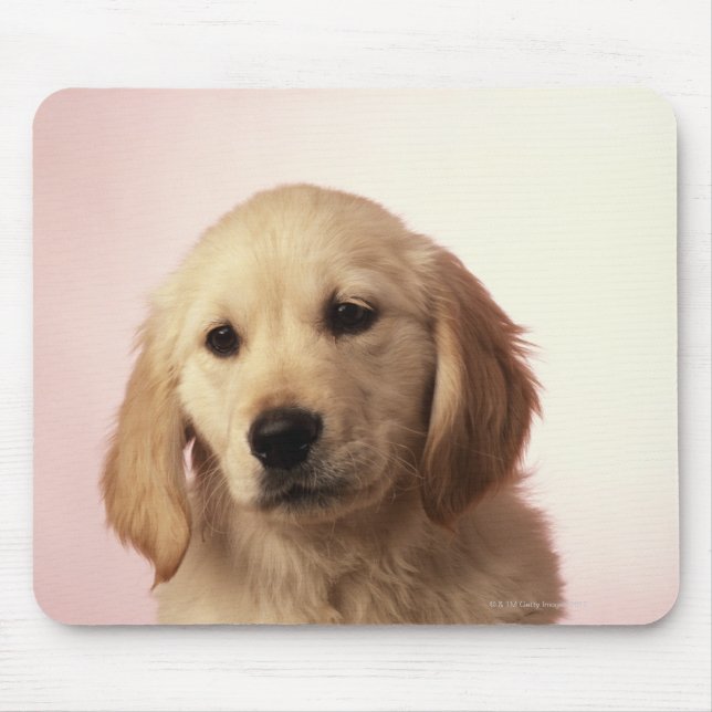 Mousepad Ouro Retriever Puppy (Frente)