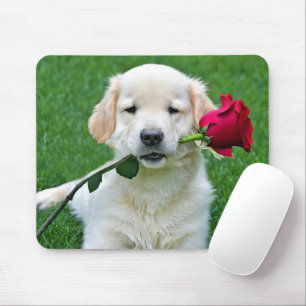 Mousepad Ouro Retriever Puppy com Rosa vermelha