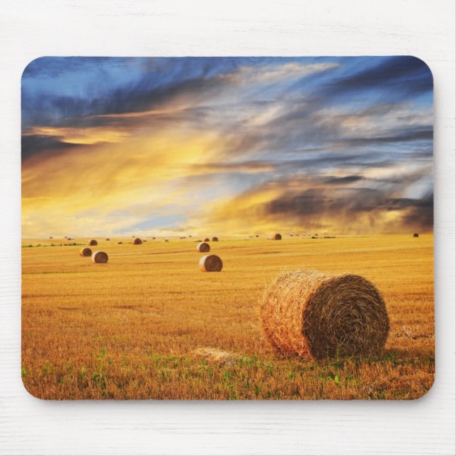 Mousepad Ouro Sunset Sobre Campo Fazenda (Frente)