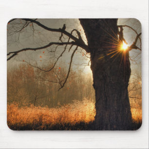 Mousepad Outono