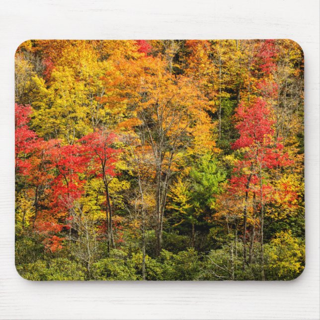 Mousepad Outono em Sims Pond Carolina do Norte, Blue Ridge (Frente)