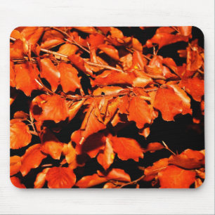 Mousepad Outono na Floresta