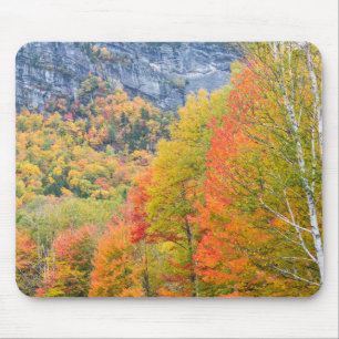 Mousepad Outono no Parque Estadual Grafton Notch, Maine