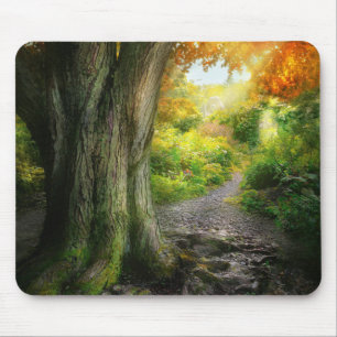 Mousepad Outono - O caminho para a casa dos granigos