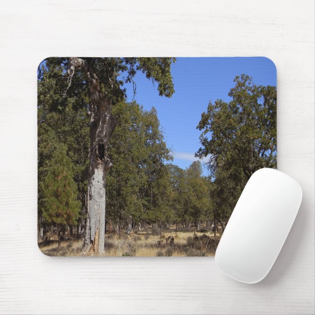 Mousepad Outro belo dia.... (Com mouse)