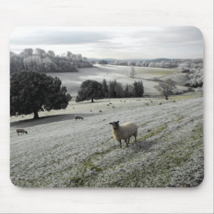 Mousepad Ovelha num vale gelado