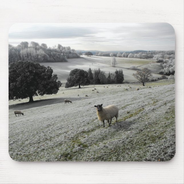 Mousepad Ovelha num vale gelado (Frente)