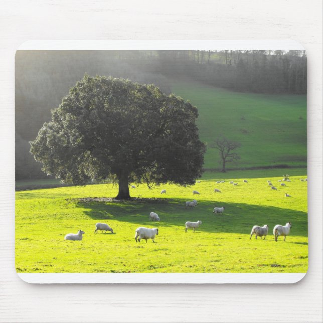 Mousepad Ovelhas ao sol da manhã (Frente)
