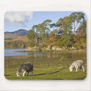 Mousepad Ovelhas Herdwick em Friars Crag, Derwentwater, 2