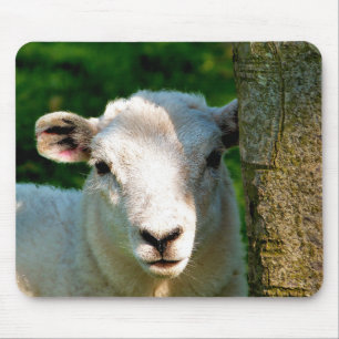 MOUSEPAD OVINHA BONITA