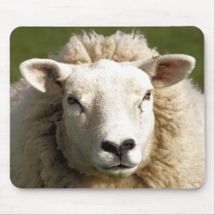 MOUSEPAD OVINO DE BOVINO