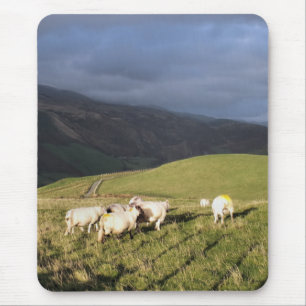 MOUSEPAD OVINO DE MONTANHA