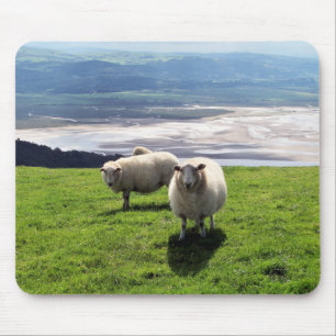 MOUSEPAD OVINO DE MONTANHA DE WELSH