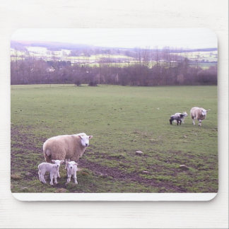 Mousepad Ovinos