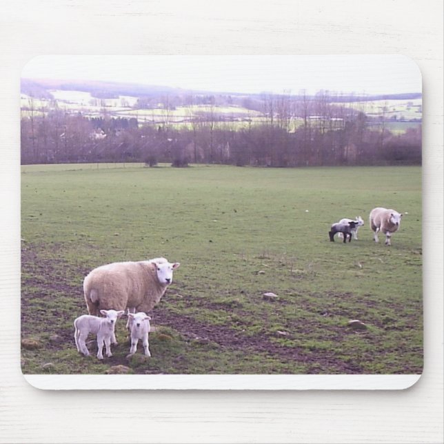 Mousepad Ovinos (Frente)